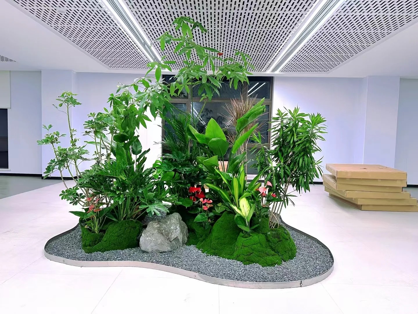 了解江北绿植出租方案，拥抱清新办公环境