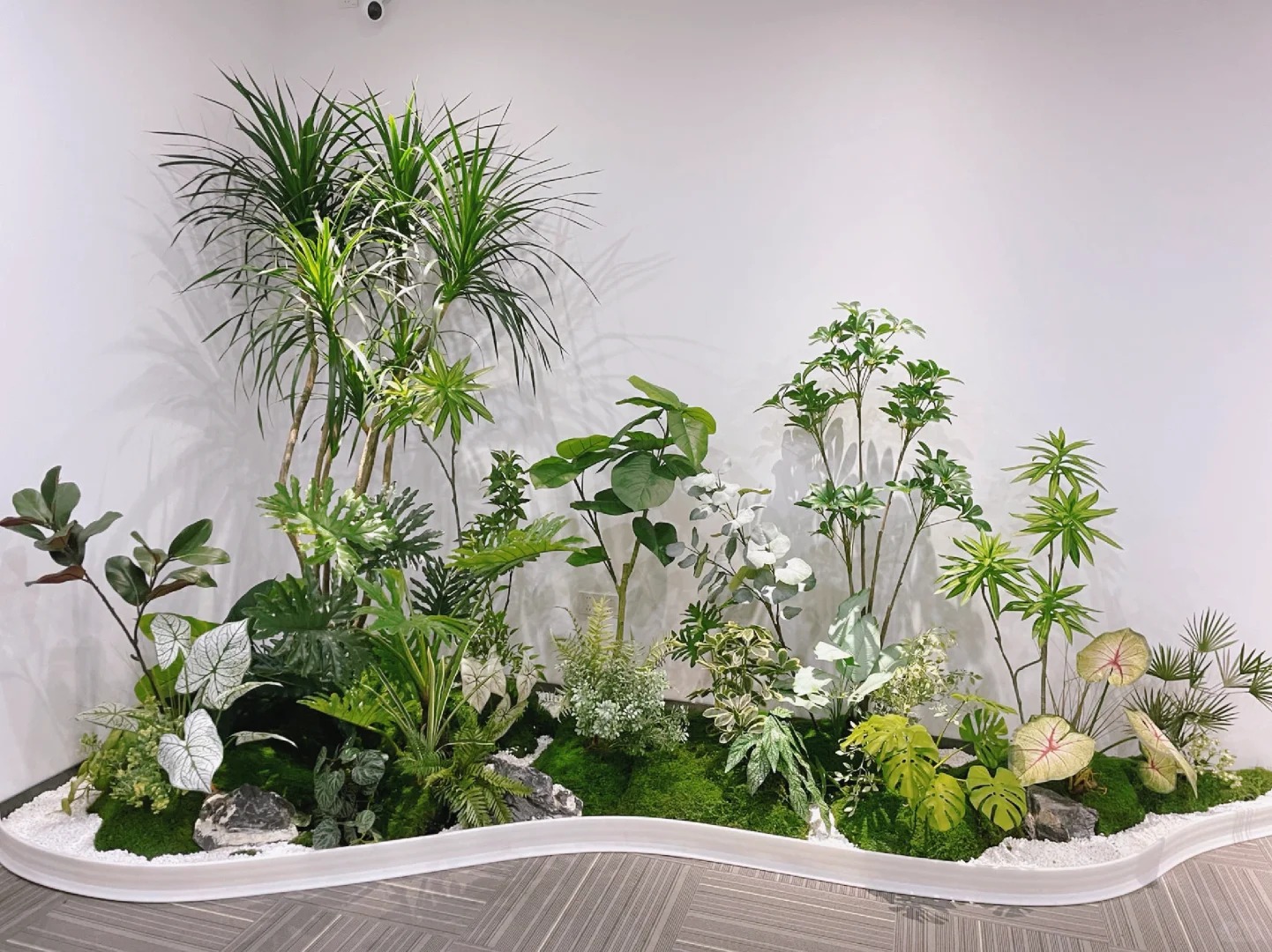 了解江北绿植出租方案，拥抱清新办公环境